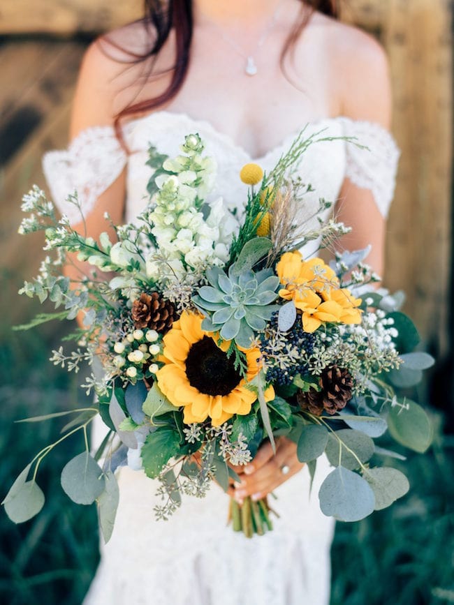 sunflower flower meaning