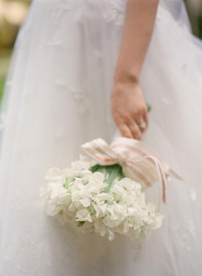 sweet pea flower meaning