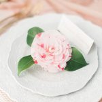 Lady of the Camellias