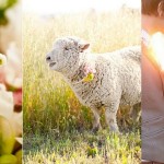 Inspiration Board: Watermelon Sunshine